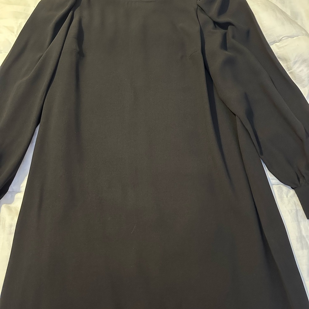 Elegant Black dress with ruffle sleeves